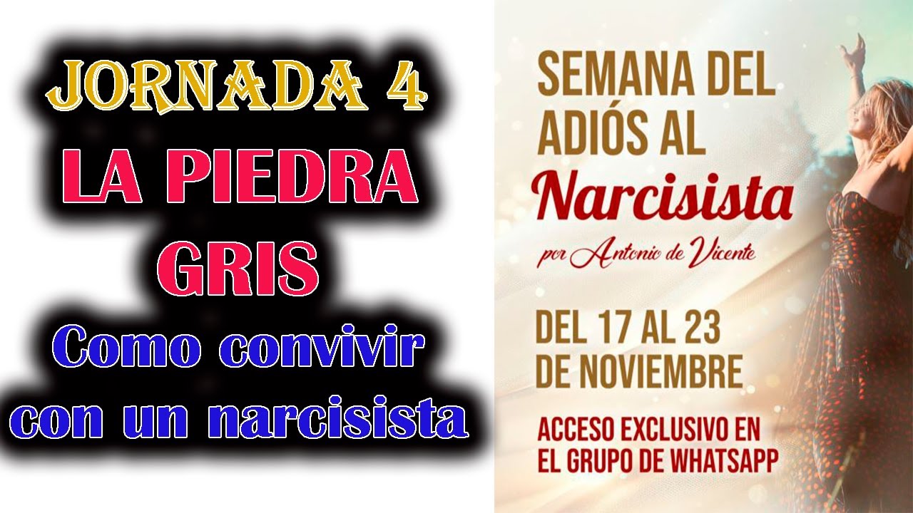 CONVIVIR CON UN NARCISISTA: LA TÉCNICA DE LA PIEDRA GRIS