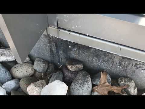 Flushing Out & Exterminating the Box Elder Bugs in Beachwood, NJ