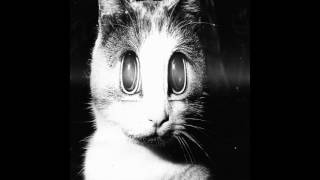 Hodge & Peder Mannerfelt - Bird Chant