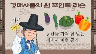농산물 경매사들의 원 포인트 레슨