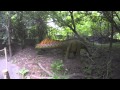 Detroit Zoo Dinosaurs June 2015