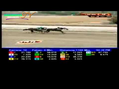 LA RINCONADA 10 CARRERA DOMINGO 13 DE ABRIL DEL 2014