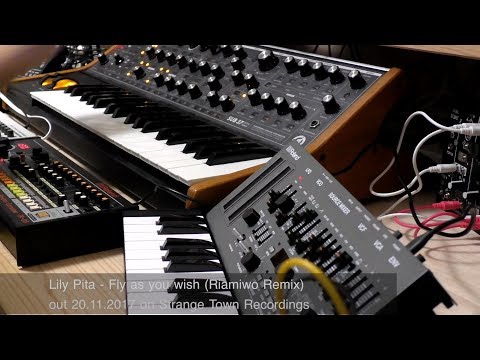 Lily Pita - Fly as you wish (Riamiwo Remix) Livesession with Moog Sub37 (Riamiwo StudioVlog 68)