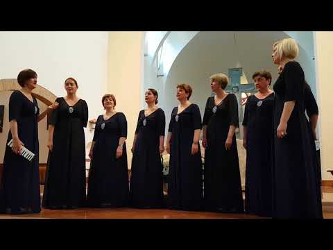 Klapa Amfora - Zapivala tica mala