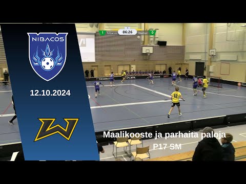 P17 SM Nibacos - Welhot 12.10.2024 maalikooste