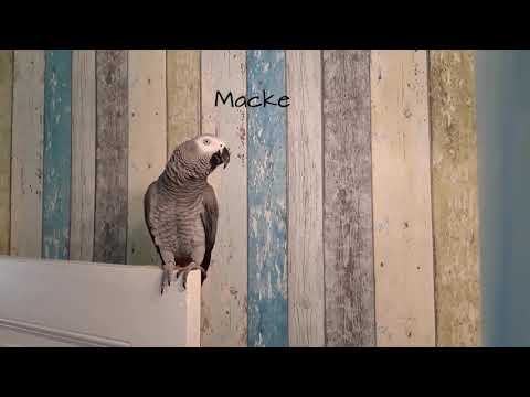 Lilo wieder am Blubbern