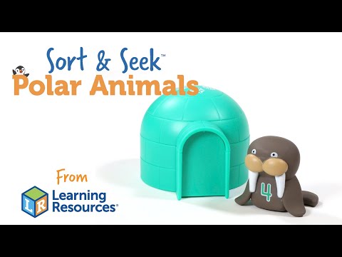 SORT & SEEK POLAR ANIMALS