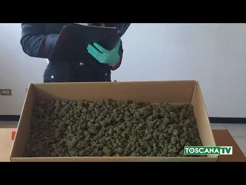 2020-04-01 PISTOIA - QUATTRO ARRESTI PER DROGA