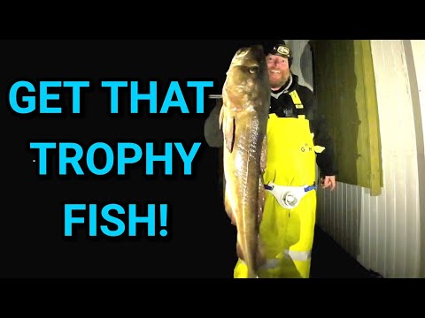 Trophy hunting in Arctic Norway! My new PB !