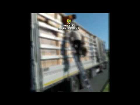 35 de migranți reținuți de polițiștii de frontieră la Nădlac și Vărșand