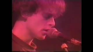 Pale Saints - True Coming Dream