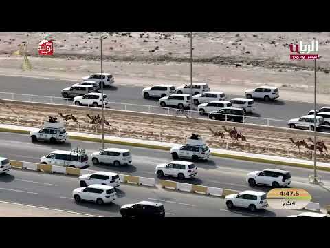 ش 6 .(العابر) لـ هجن الغرافة 5:59:88 , مهرجان المؤسس 2025/12/13 حقايق الشحانية