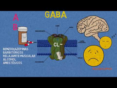 Receptores GABA: Benzodiazepinas, barbitúrcos y anestésicos.