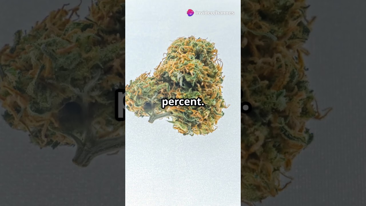 Top 10 Strongest Weed Strains Ranked (2025 Update)