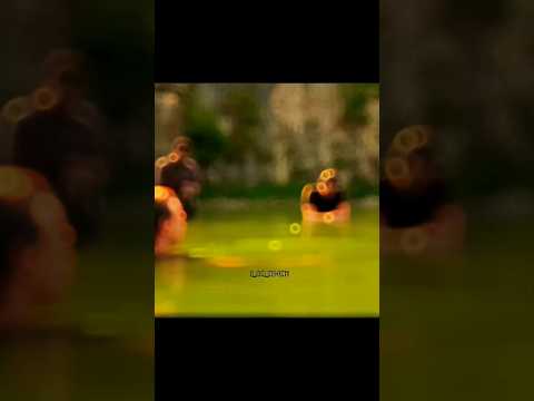 IT chapter 2 edit #pennywise #billhader #richietozier #billdenbrough #beverlymarsh #ben