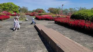 ストライダー　2歳