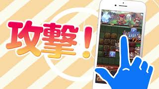 007 Bo 横 修正