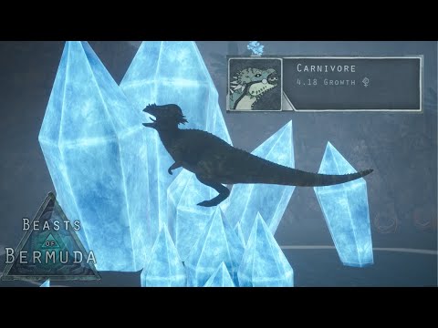The Final Days Of The 4.1 Carnivore Pachy | Beasts of Bermuda