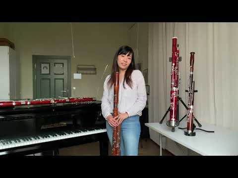 Konservatorium Rostock - Fagottunterricht