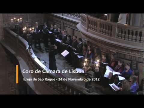 MSR - Coro de Câmara de Lisboa