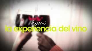 preview picture of video 'La experiencia del vino contigo'