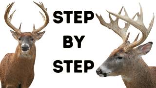 TROPHY BUCK gets New Life: Part 4 TAXIDERMY