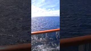Carnival Miracle Cabin 7243 #cruise #carnivalcruise #travel #cruiseship