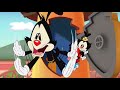 Animaniacs Reboot Yakko Interrumpe La Intro HD Español Latino