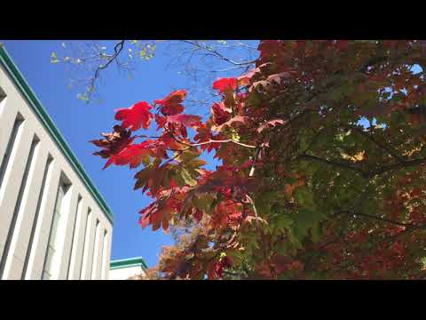 フランス語学科 Couleurs 2021