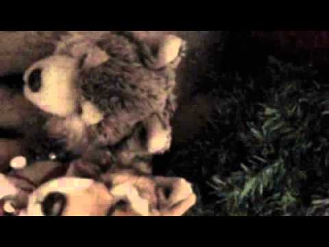 Welcome to Rowan's Mystery