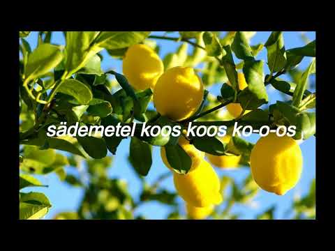 download lagu mp3 mp4 Jagatud Saladus, download lagu Jagatud Saladus gratis, unduh video klip Jagatud Saladus