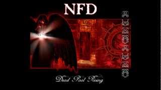 NFD - Light My Way