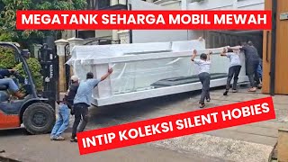 PENGHOBIES IKAN PREDATOR YANG MULAI MENG-GILA !!! BUAT MEGATANK FIBER GLASS SAMPAI RATUSAN JUTA