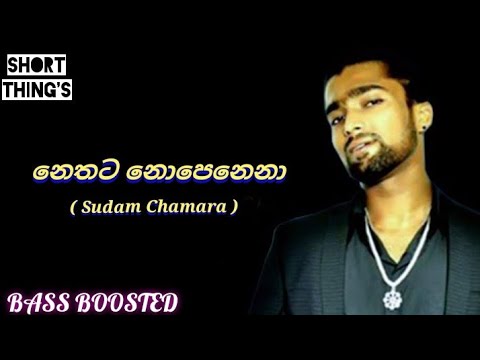 Nethata Nopenena | Sudam Chamara | BASS BOOSTED | @shortthings5470