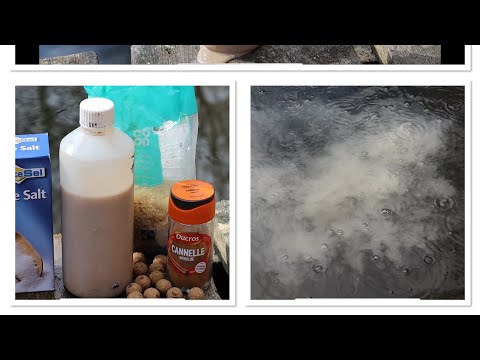 Carp fishing bait tip! Make an awesome liquid out of your boilies! *Amazing for a zig mix*