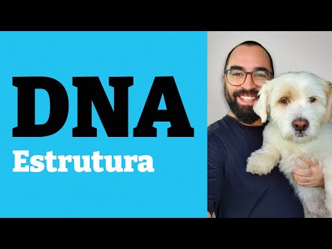 DNA: Structure - Class 09 - Module 1: Biochemistry - Prof. Guilherme
