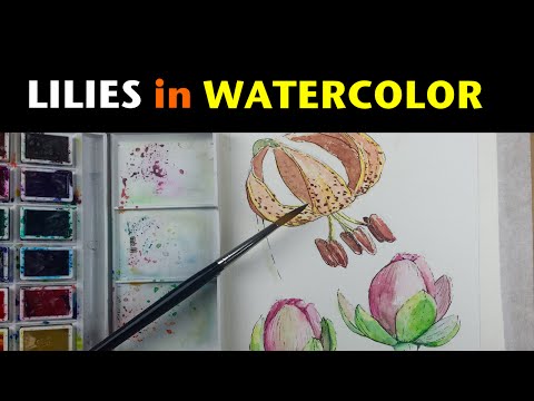 Ink Watercolor Study | Water lily buds and spotted lily