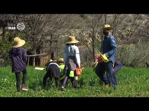 El Cortijo los Baños, en Almería, ejemplo de educación agrícola y ambiental