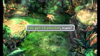 Final Fantasy IX All Chocographs in Chocobo's Forest