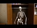Танцующий скелет в шкафу - Dancing skeleton in the closet 