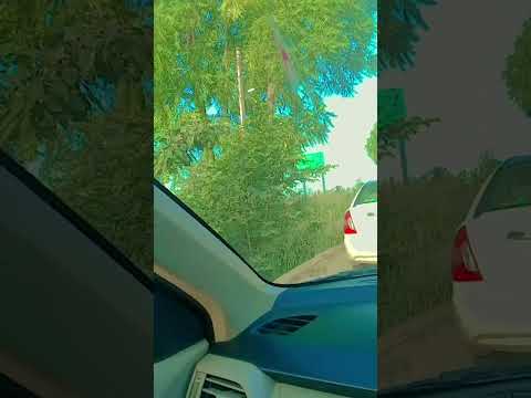 #veeradeep #lifeisbutadream #newmusic #music #nature I miss you najiya ji #indianindie #debutep