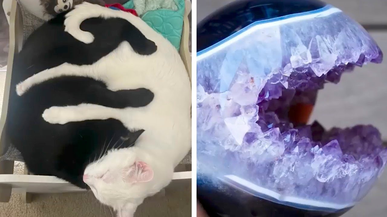 Фото, от которых челюсть отвисает