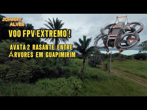 AVATA 2 INSANO! RASANTE ENTRE PALMEIRAS E GAPS EM VOO MANUAL 😱🔥