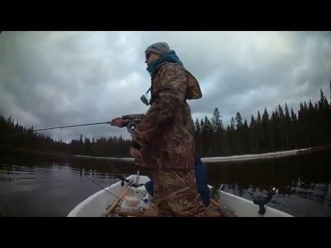 Hauen kalastusta merellä // Vaan kalastusta(3)