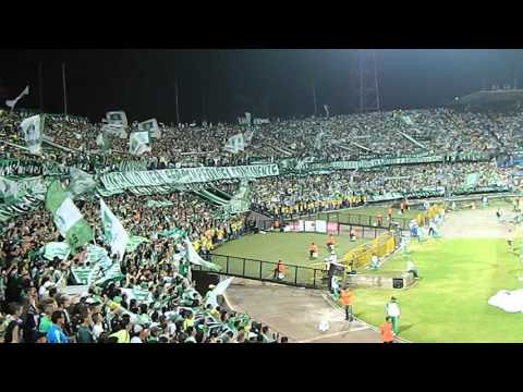 "Me enamore de ti" Barra: Los del Sur &bull; Club: Atlético Nacional