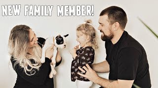 GETTING A NEW FAMILY MEMBER! | Surprising Toddler With a Puppy!