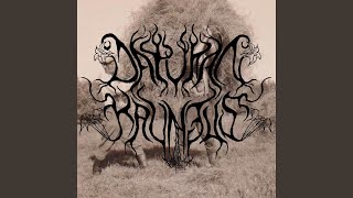 Näen tyhjyyden hänen silmissään, ne ei tuiki