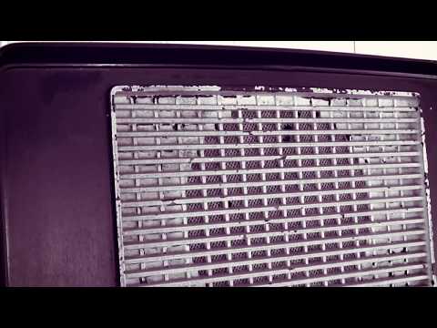 Bilingual - La Compañía Feat Rojah & Jiggy D (Video Oficial)