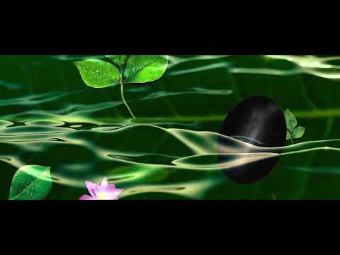 Shiva | Winds of Kailash | Armonian |  WhatsApp Shorts | Om Namah shivaya Kailash Himalayas