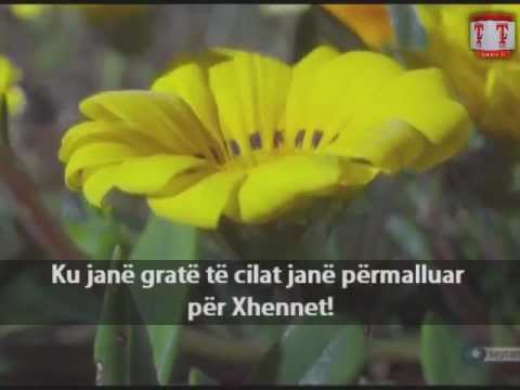 Xhenneti po thërret! - Shejh Halid Rashid